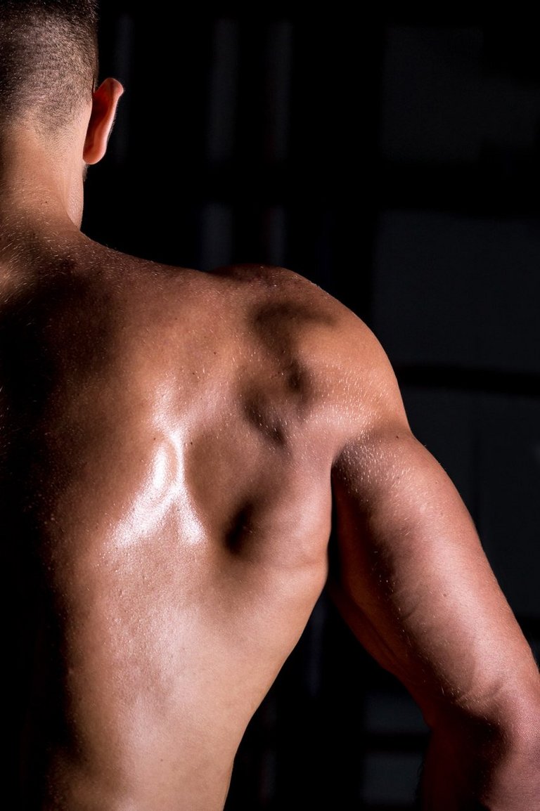 Stärkung des Oberkörpers, durch ein gesundes und abwechslungsreiches Training Mann mit durchtrainiertem Rücken vor dunkler Wand